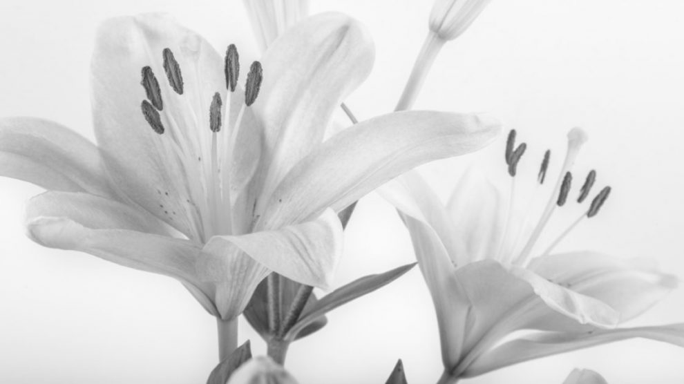 Z żalem przyjęliśmy wiadomość…