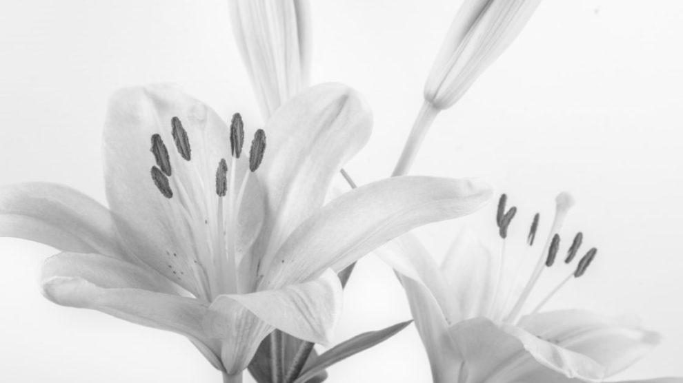 Pożegnanie Zdzisława Malickiego – Dyrektora Naczelnego Huty Stalowa Wola w latach 1965-1982