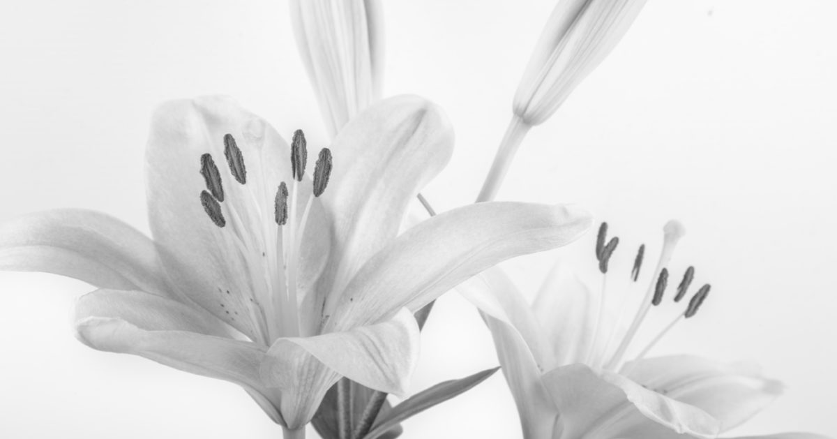 Pożegnanie Zdzisława Malickiego – Dyrektora Naczelnego Huty Stalowa Wola w latach 1965-1982