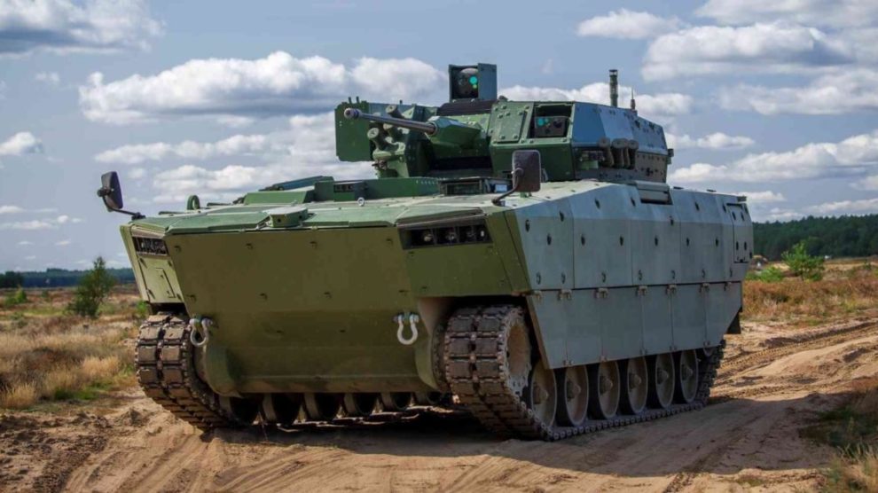 Borsuk na poligonie w Drawsku Pomorskim