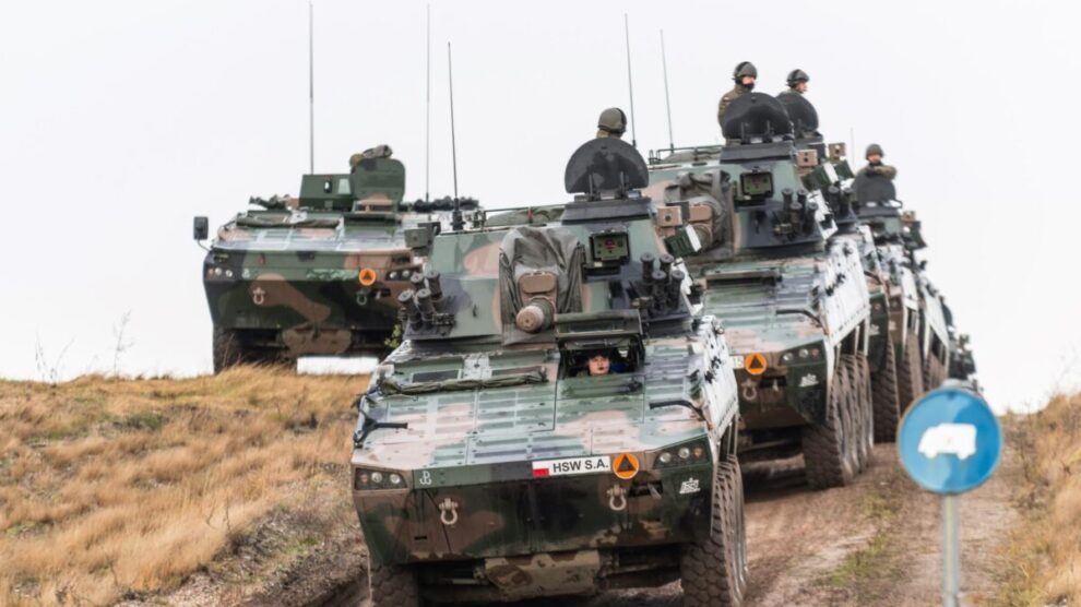 2017-11-28-RM-borsuk-055 (002)_1